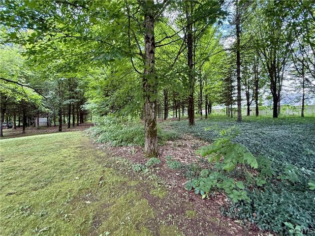 Land for sale in Williamstown, New York