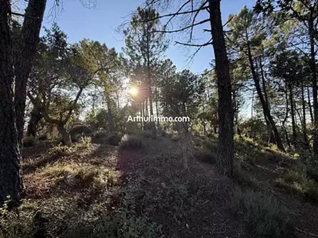 Terrain vente à Arrondissement de Draguignan, Vidauban