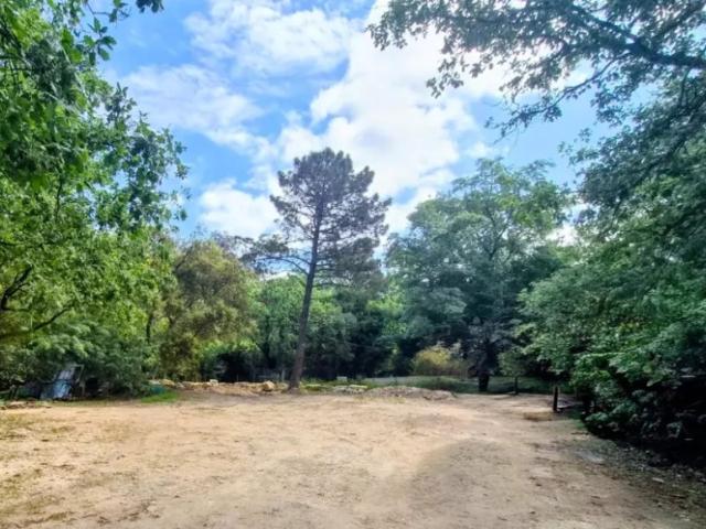 Terrain vente à Arrondissement de Draguignan, Vidauban
