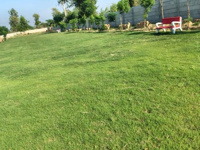 Land for sale in Lakhana, Arunachal Pradesh