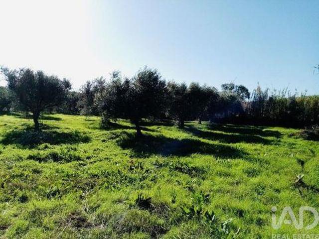 Terreno venda em Vidigueira, Pedrógão