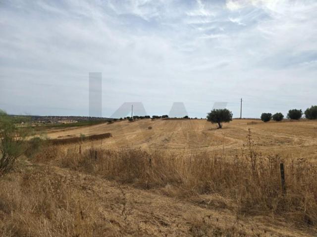 Terreno venda em Vidigueira, Pedrógão