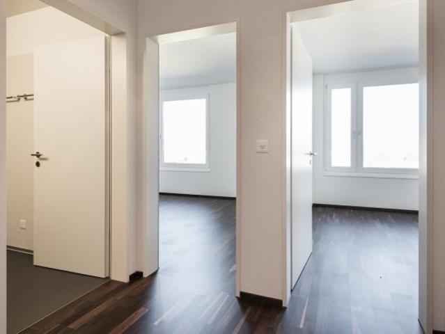 Apartment mieten in Frauenfeld