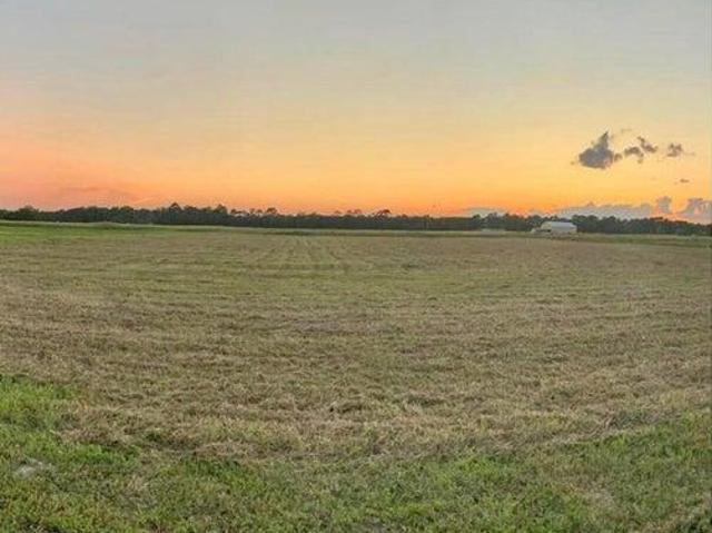 Land for sale in Basile, Louisiana