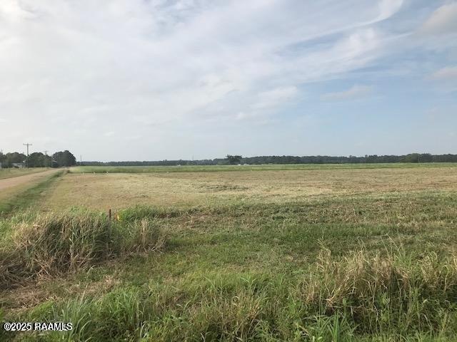 Farm for sale in Evangeline, Louisiana