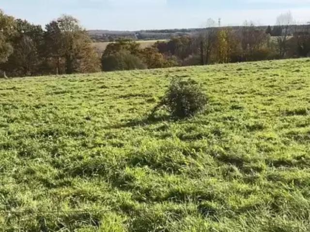 Terrain vente à Toulouse, Vieillevigne