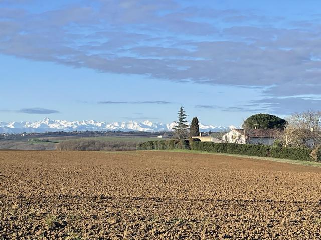Maison vente à Toulouse, Vieillevigne