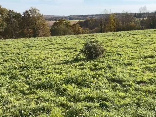 Terrain vente à Toulouse, Vieillevigne