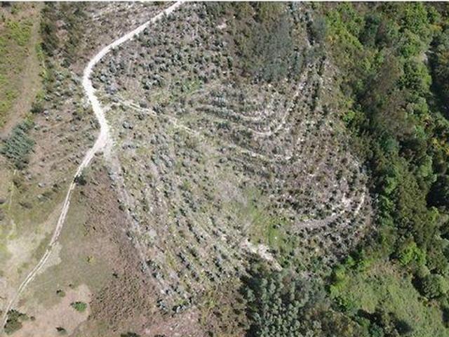 Terreno venda em Parada Do Bouro, Braga