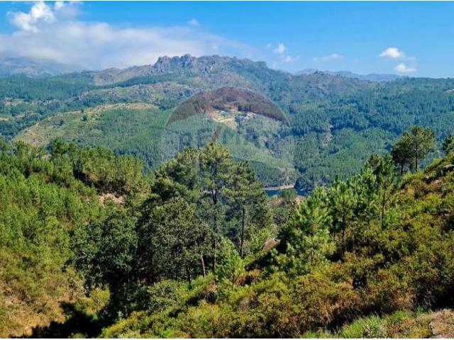 Terreno venda em Parada Do Bouro, Braga