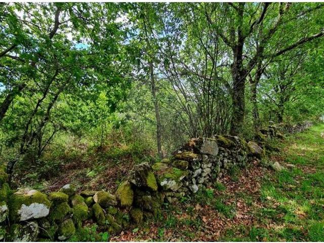 Terreno venda em Parada Do Bouro, Braga