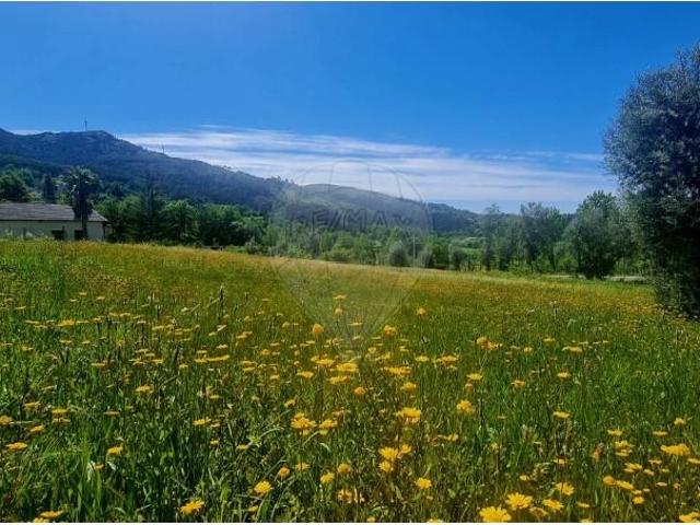 Terreno venda em Parada Do Bouro, Braga