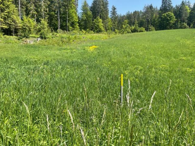 Grundstück kaufen in Finkenstein, Kärnten