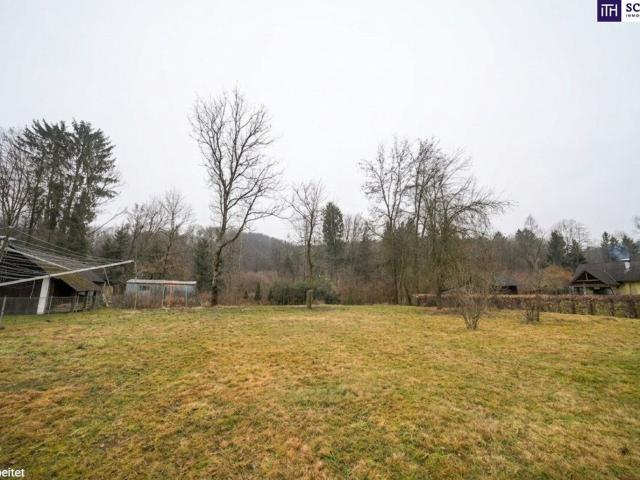 Haus kaufen in Eggersdorf, Steiermark