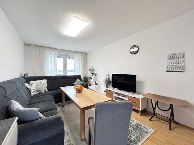 Apartment kaufen in Burgfried, Hallein