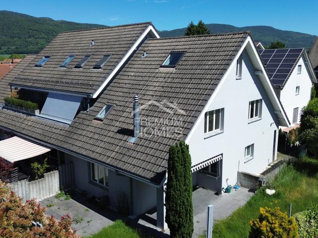 Haus kaufen in Gunzgen, Solothurn