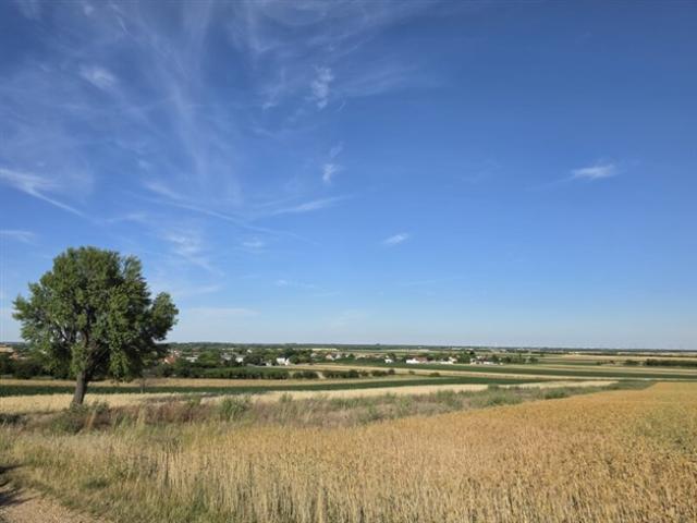Grundstück kaufen in Nickelsdorf, Bezirk Neusiedl am See