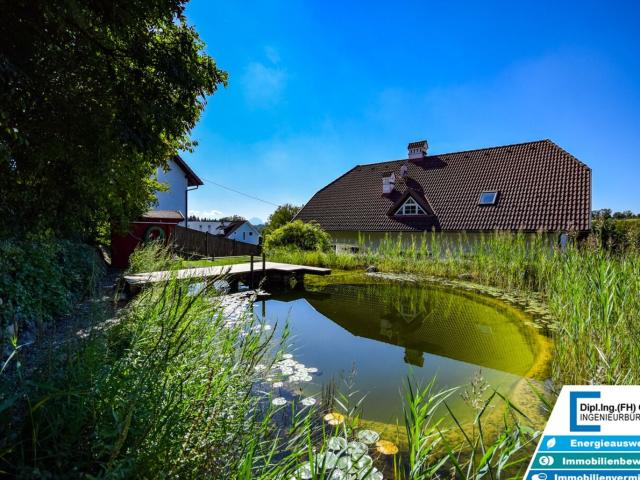 Haus kaufen in Steinhaus, Oberösterreich