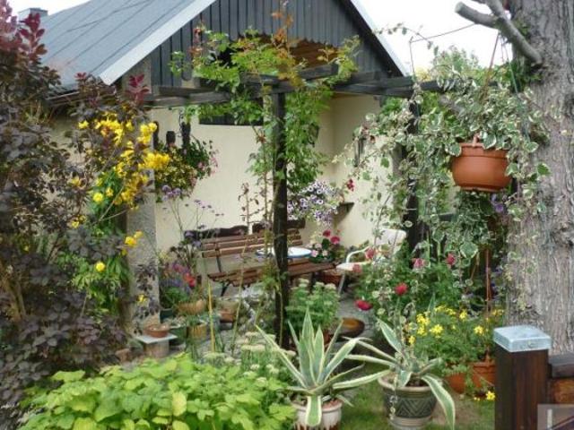 Haus kaufen in Sachsen