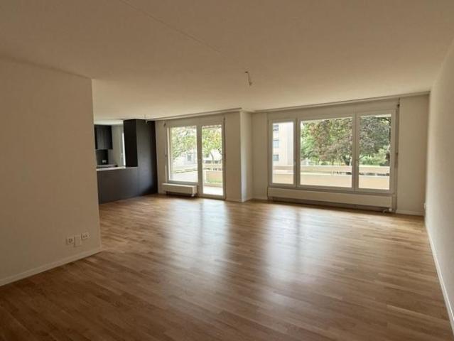 Apartment mieten in Riedikon, Uster