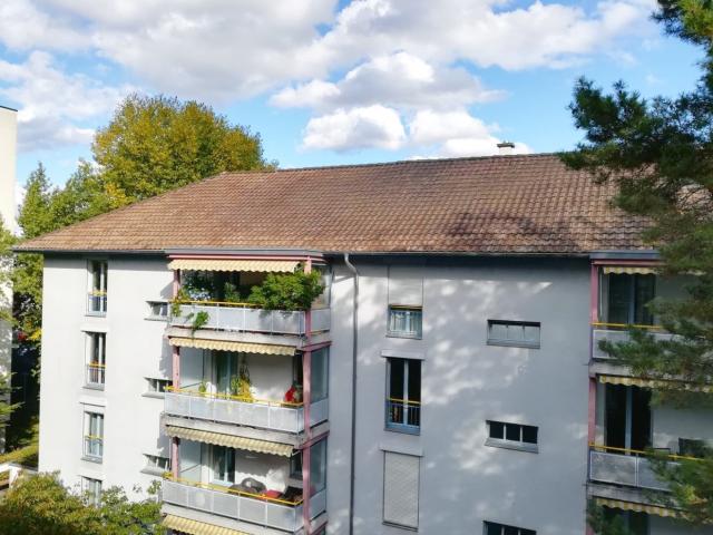 Apartment mieten in Kleinbasel, Basel