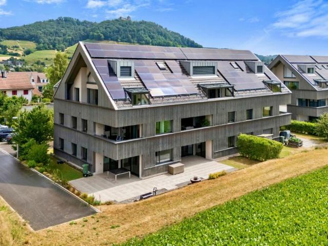 Wohnung kaufen in Wagenhausen, Thurgau