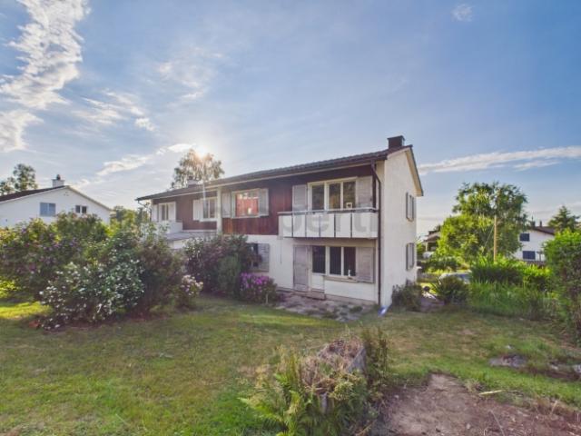 Reihenfamilienhaus kaufen in Staad (SG), St. Gallen