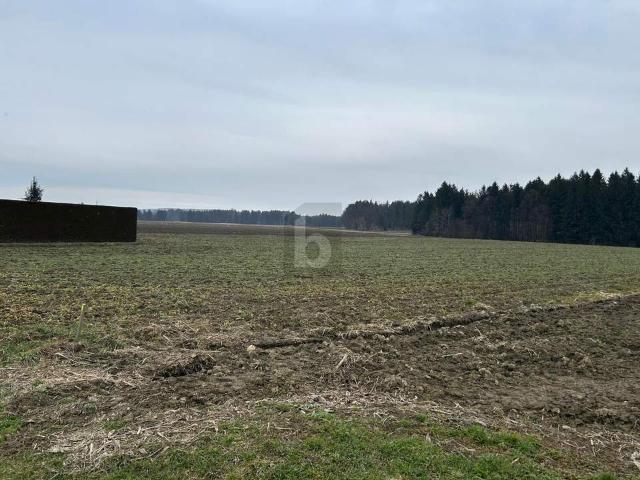 Grundstück kaufen in Kaindorf an der Sulm