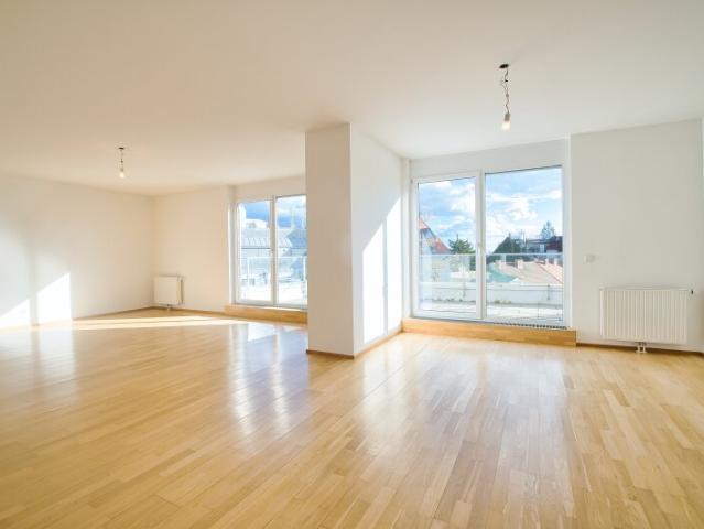Terrassenwohnung mieten in Wien