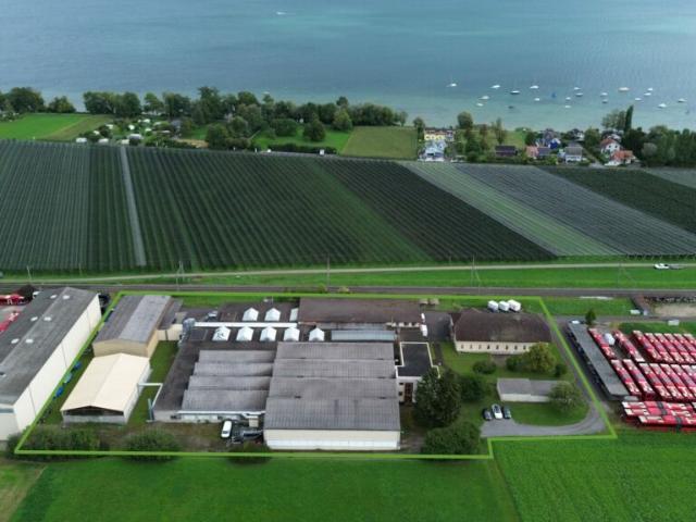 Immobilie kaufen in Kesswil, Thurgau