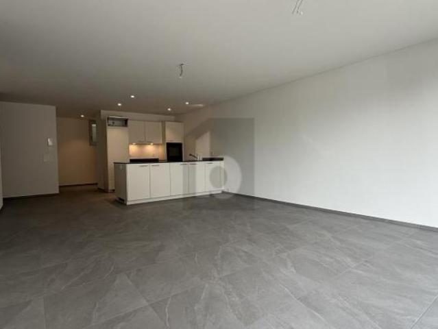 Apartment mieten in Oberflachs, Schinznach