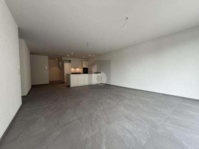 Wohnung mieten in Oberflachs, Schinznach