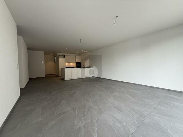 Wohnung mieten in Oberflachs, Schinznach