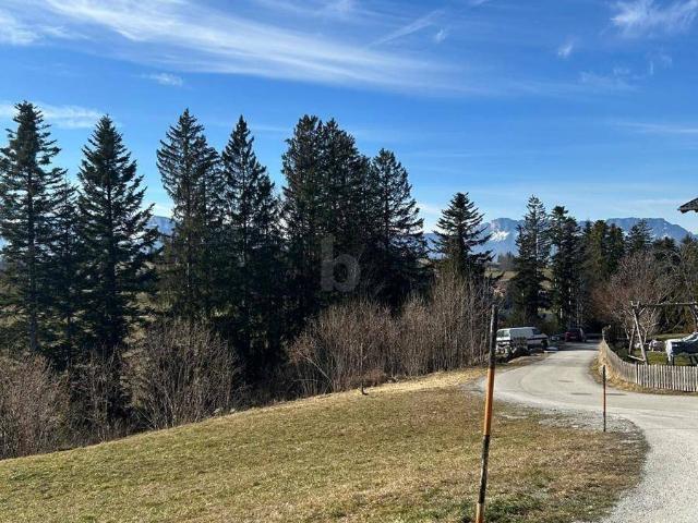 Immobilie kaufen in St. Koloman, Salzburg