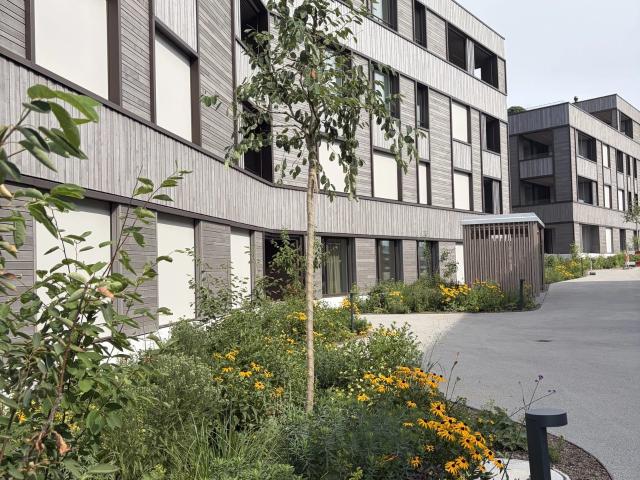 Wohnung kaufen in Tannberg, Schenkon