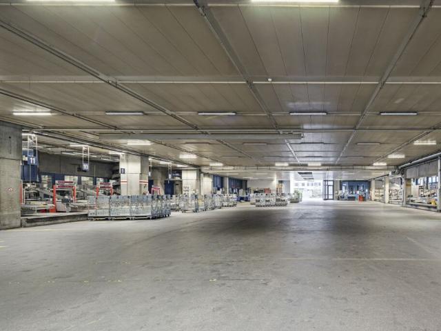 Immobilie mieten in Einigen, Zürich