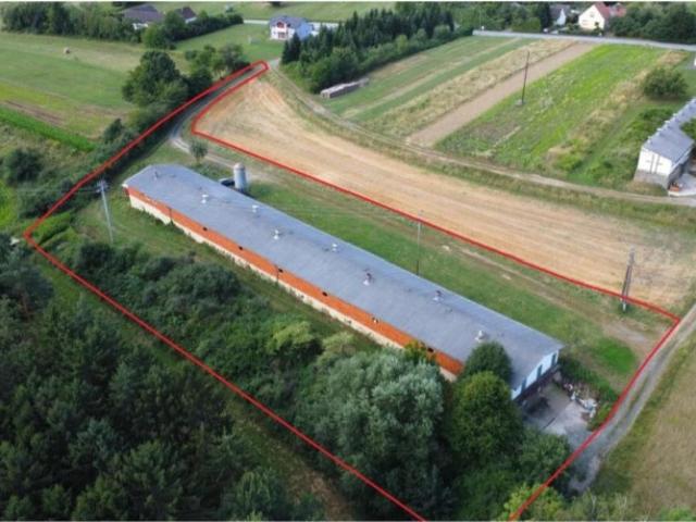 Immobilie kaufen in Stinatz, Burgenland