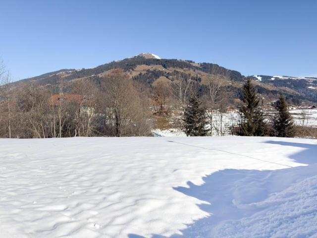 Immobilie kaufen in Westendorf, Tirol