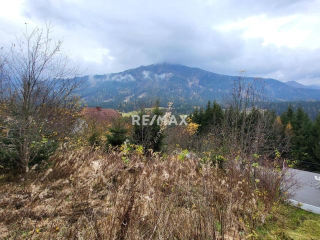 Immobilie kaufen in Hohentauern, Steiermark