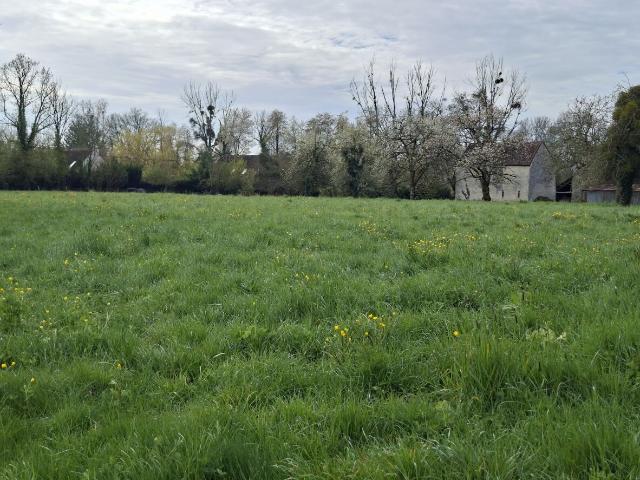 Terrain vente à Château-Thierry, Viels-maisons