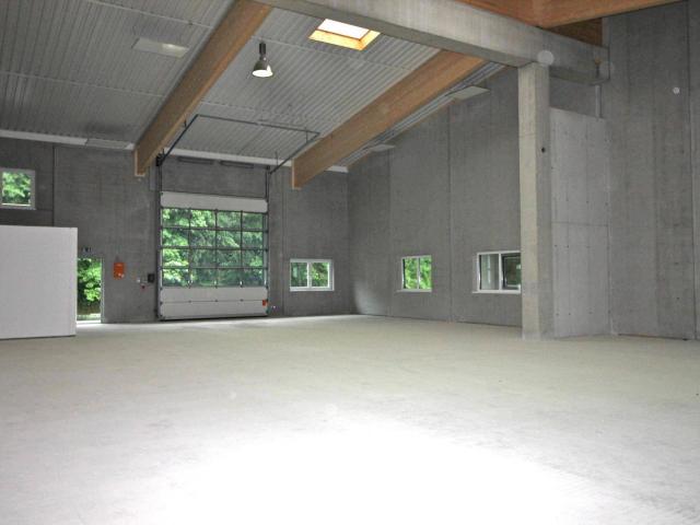 Gewerbe mieten in Hallein, Salzburg