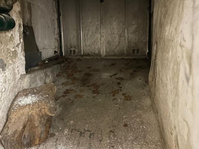Haus kaufen in Neukirchen am Walde, Oberösterreich