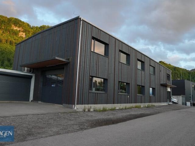 Immobilie kaufen in Hohenems, Vorarlberg