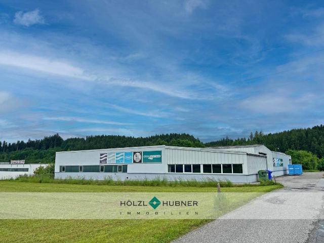 Gewerbe mieten in Neumarkt am Wallersee, Salzburg