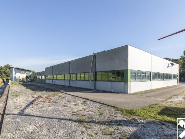 Gewerbe kaufen in Ampflwang im Hausruckwald, Oberösterreich