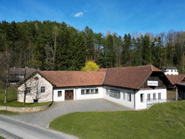 Industrie kaufen in Krumbach, Niederösterreich