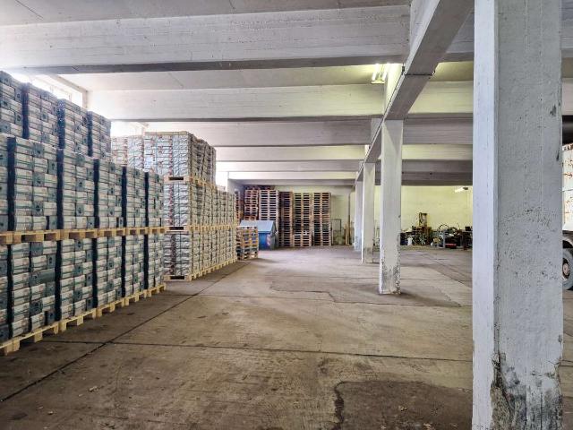 Industrie kaufen in Glauchau, Zwickau