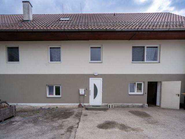 Mehrfamilienhaus kaufen in Steinhaus, Oberösterreich