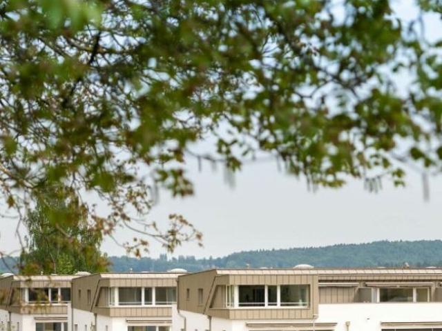 Atelier mieten in Stadel, Zürich