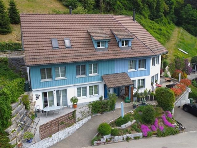 Einfamilienhaus kaufen in Wasterkingen, Zürich